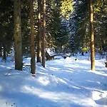 Goscinne - Za Borem *