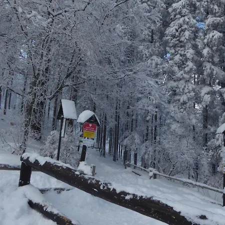 Goscinne - Za Borem Δωμάτια σε οικογενειακή κατοικία *