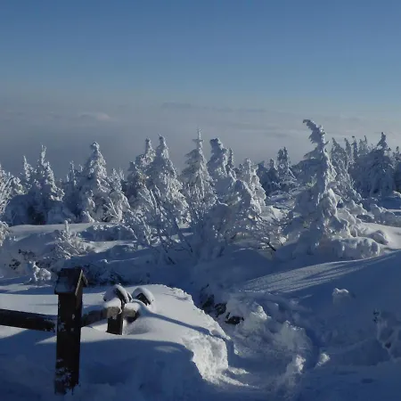 Quarto em Acomodações Particulares Goscinne - Za Borem
