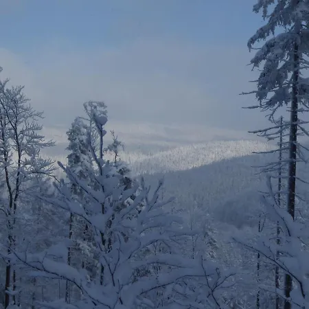 Goscinne - Za Borem *