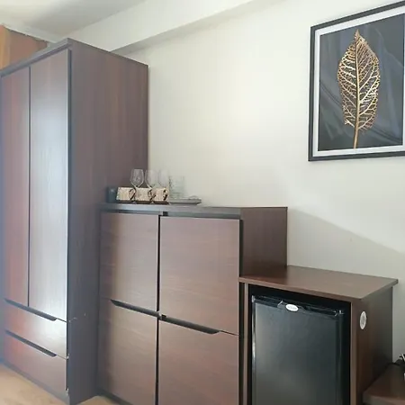 Goscinne - Za Borem *