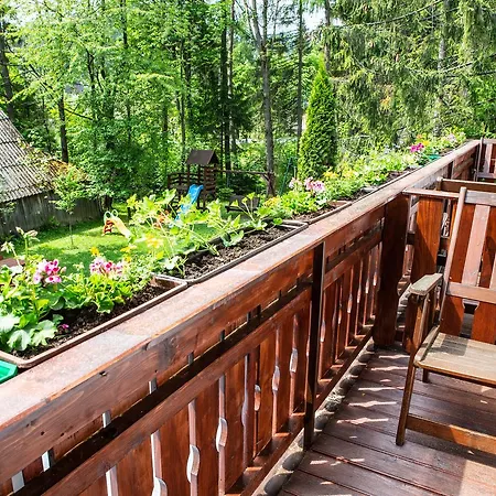 Goscinne - Za Borem *