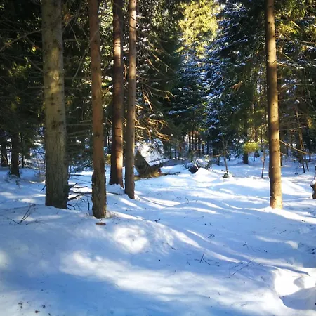 Goscinne - Za Borem *