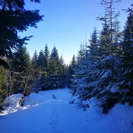 Gościnne - Za Borem Kwatera prywatna