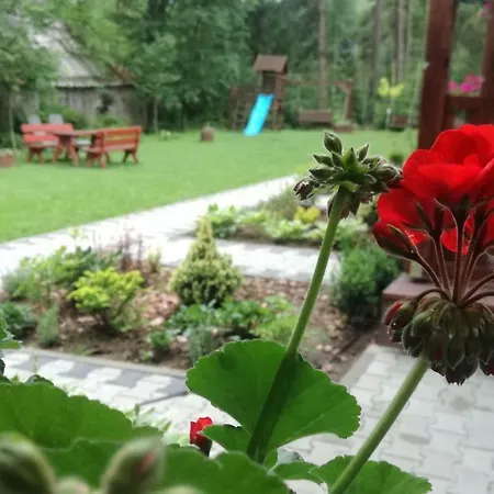 Gościnne - Za Borem Kwatera prywatna *