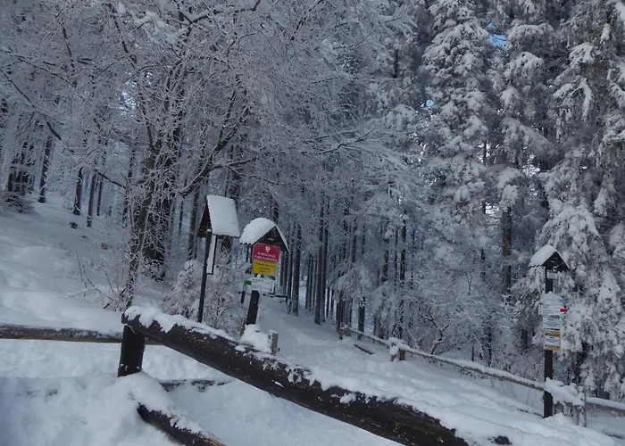 Goscinne - Za Borem 民宿 *