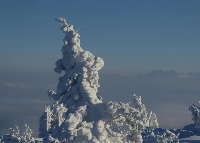 Goscinne - Za Borem Δωμάτια σε οικογενειακή κατοικία *