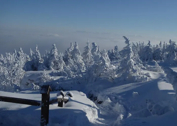 民宿 Goscinne - Za Borem