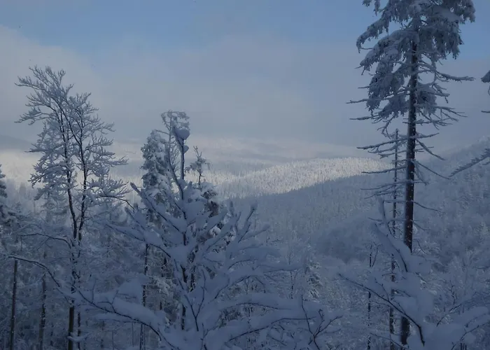 Goscinne - Za Borem *