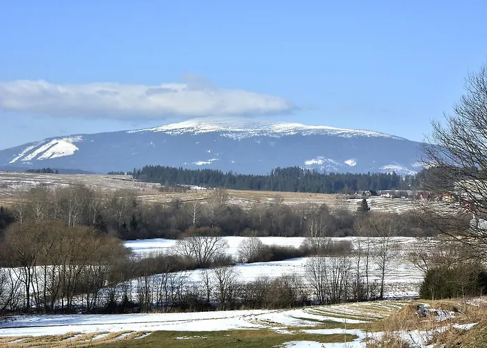 Goscinne - Za Borem 民宿 *