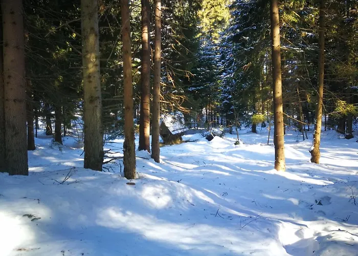 Goscinne - Za Borem *