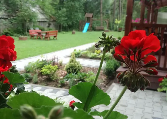 Goscinne - Za Borem Alloggio in famiglia *